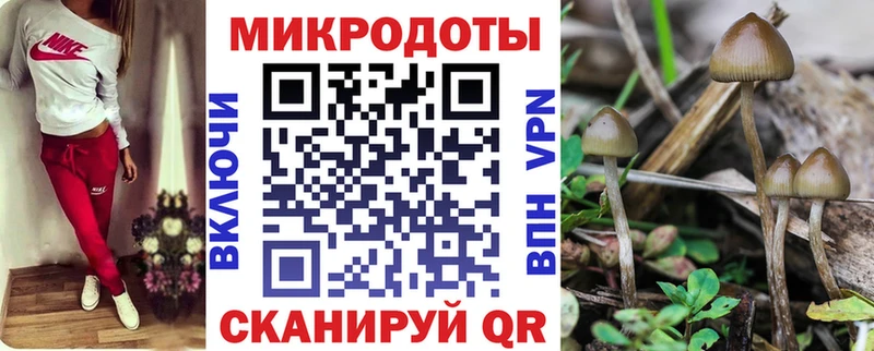 Галлюциногенные грибы Cubensis  Купить  Сосновый Бор 